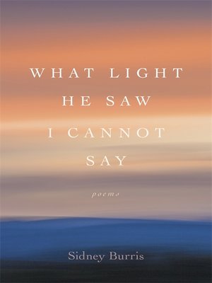 cover image of What Light He Saw I Cannot Say